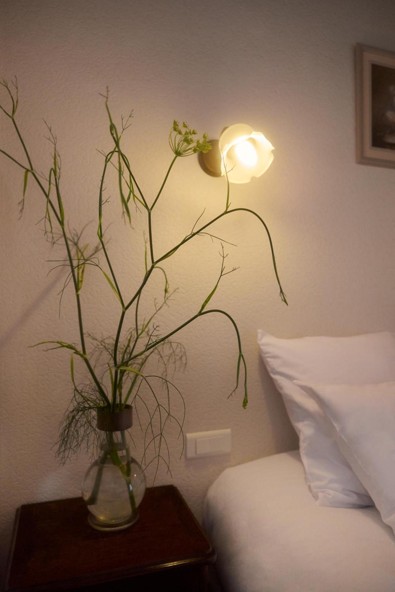 Hotel Restaurant Le Botaniste พรัตส์-เดอ-โมลโล-ลา-แพรสต์ ภายนอก รูปภาพ